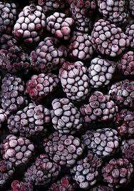 Granja de moras congeladas Fresh & Flash Frozen Ideal para batidos, repostería y postres Embalaje de exportación Disponible Suministro a granel - Product Image 5