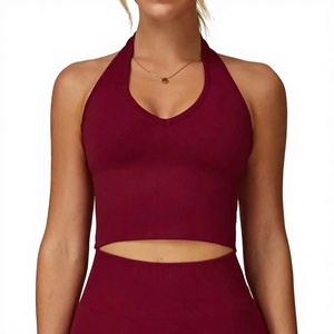 Dernière collection de vêtements de sport : Soutien-gorge de sport sans couture personnalisé pour femme, style halter, sexy, pour le fitness et le yoga. - Product Image 1