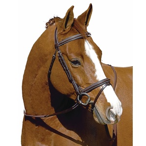 Mono Crown Plain Raised Flash Brida Seasonal Samosata Old Snake certificada ISO 9001 personalizable bajo pedido envío - Product Image 1