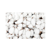 Kain Non-Woven Berkualitas Tinggi 100% Katun Mentah Organik yang Telah Diputihkan, Bahan Isian untuk Pemintalan dan Penenunan - Bernapas dan Anti-Bakteri