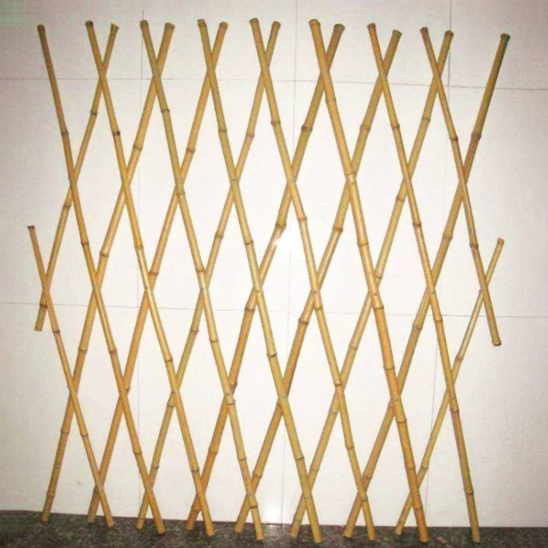 ธรรมชาติ