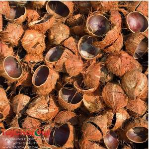 COQUE DE NOIX DE COCO DU VIETNAM AVEC PRIX BON MARCHÉ/HOT DEAL EXPORTATION COQUE DE NOIX DE COCO MEILLEUR PRIX DU MARCHÉ DE VIETFARGIMEX - Product Image 5