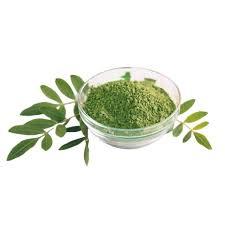 Poudre de Moringa vietnamienne séchée en vrac, poudre verte naturelle, approvisionnement - Product Image 6
