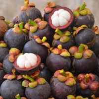Zoete, sappige, biologische Thaise mangosteen, vers fruit, de koningin der vruchten met tropische smaak, verpakt in Thailand, kwaliteit Khey Taladthai merk.
