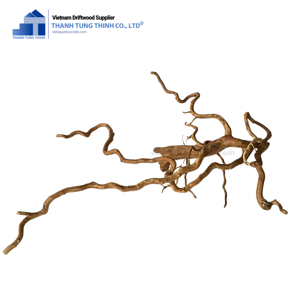 ธรรมชาติ