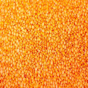 Mejor Precio de Fábrica, Nueva Cosecha, Lentejas Rojas Orgánicas Frescas de Alta Calidad, Masoor Dal, de Exportador y Fabricante Indio, en Venta - Product Image 1