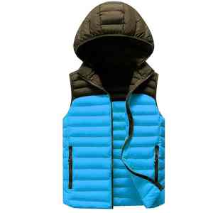 Veste d'hiver matelassée légère pour femmes, avec capuche, chaude, logo personnalisé, vêtements d'extérieur tendance, fabrication OEM, vente en gros - Product Image 3