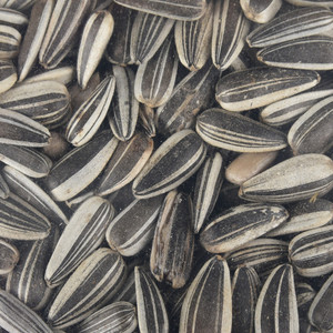 Semillas de girasol secas crudas a precio de fábrica en venta - Product Image 1
