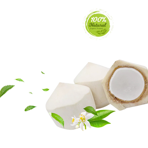 Produits agricoles à base de noix de coco au diamant Douceur naturelle pour la préservation de la santé - Product Image 3