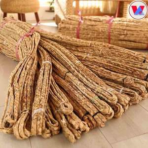 VIETNAM EXPORTA CUERDAS HICOBICOS SECAS DE BUENA CALIDAD HECHAS DE NATURAL CON PRECIOS QUE APOYAN A IMPORTADORES - Product Image 4