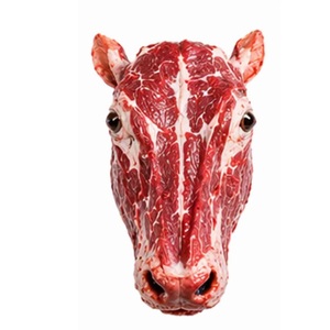 Frozen <b>Beef</b> Head / Meat Supplier High Quality <b>Beef</b> Cuts Global Export Supply - Product Image 1