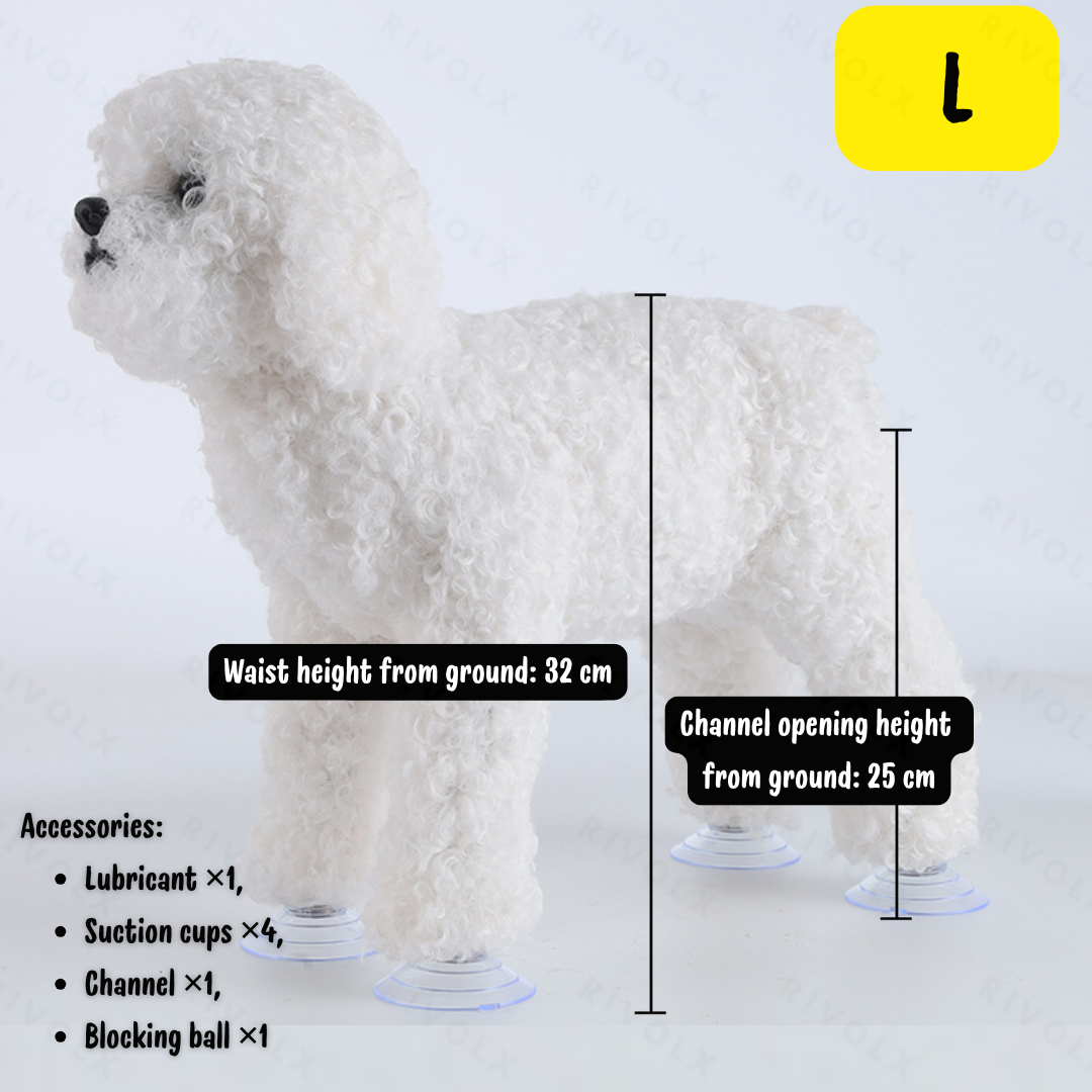 Caniche blanc (caniche jouet) L