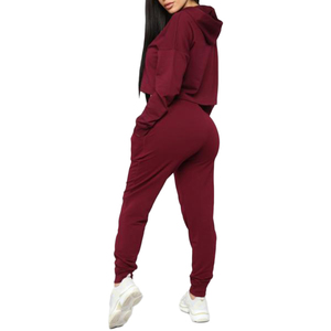Women's Cotton Streetwear Printed <b>Winter</b> Fleece 2-Piece Crop <b>Top</b> Oversize Hoodie Set - Product Image 3
