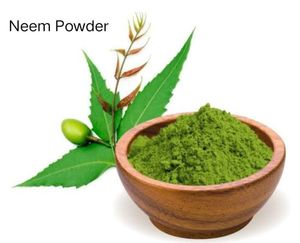 La poudre de feuilles de neem de haute pureté est utilisée comme fournisseur et fabricant de poudre de soins de la peau et de soins de santé de l'Inde du Sud - Product Image 4