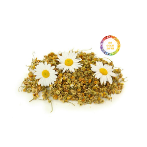 ดอกเดซี่แห้งทั้งกลีบแบบพรีเมี่ยมจากเวียดนามแหล่งที่เหมาะสำหรับงานหัตถกรรมบุหงาทำด้วยมือถุงหอมและการค้าระดับโลก - Product Image 3