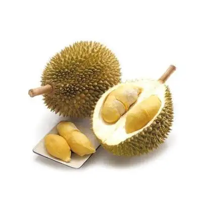 Fruta Durian fresca de primera calidad de Tailandia. Monthong Durians Directo de granja
