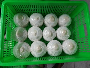 Agua de Coco Fresca en Forma de Diamante, Bebida Tropical de Coco para el Verano - Product Image 5