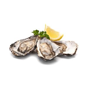 Huîtres kaki de ferme de qualité supérieure avec coquille, prêtes pour le commerce en gros fiable - Product Image 4