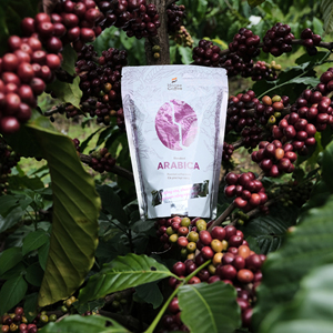 Marca HONEE, granos de café Arábica tostados de alta calidad de 250G por bolsa, bebida hecha en Vietnam de tueste medio de Ban Me Gold Co Ltd - Product Image 3