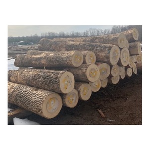 Bûches de bois de frêne - Séchées au four pour une combustion efficace et un fumée minimale - Product Image 5