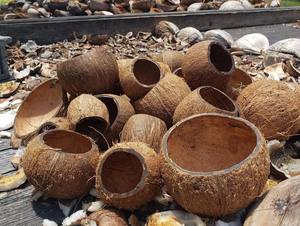 Suministro de fábrica cuencos de cáscara de coco precio barato al por mayor ecológico hecho a mano biodegradable para servicio de alimentos - Product Image 5