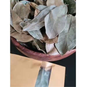 Hojas de Guanábana secas orgánicas/sin pesticidas - Product Image 1