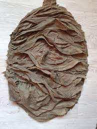 Vente de meilleurs exportateurs Emballage en vrac certifié halal de boeuf biologique congelé Omasum estomac de buffle séché corps et organes de vache - Product Image 4