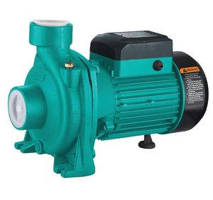 Bomba de Agua Centrífuga de Riego Eléctrica de Alta Eficiencia de 1 HP Serie CPM al Mejor Precio - Product Image 3
