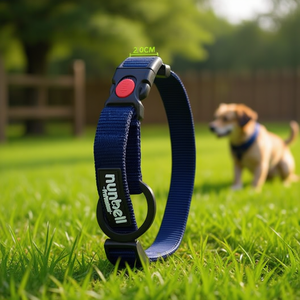 Collare per Animali Domestici Premium Bicolore Colore CIAN Elegante e Confortevole - Product Image 3