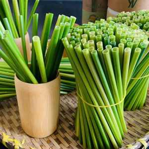 Pajitas de hierba personalizadas con logo 2026, accesorios para bebidas, gran oferta, de Vietnam, esenciales para bares, para el mercado coreano - Product Image 3