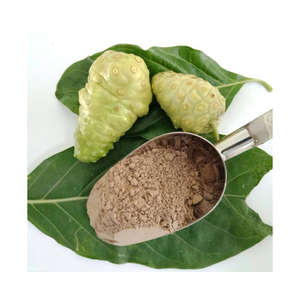 ผู้ส่งออกผงโนนิที่เชื่อถือได้จากเวียดนาม จัดหาสินค้าจำนวนมากในราคาที่แข่งขันได้ - Product Image 1