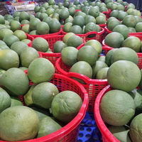 Verse groene pomelo uit Vietnam, zoete, sappige grapefruit met roze vruchtvlees, premium exportkwaliteit citrusvrucht, 60-90 dagen houdbaarheid