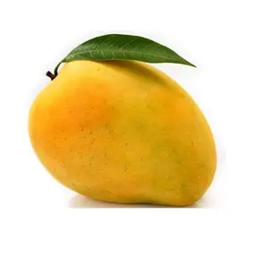 Mango frucht frisch