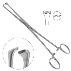 Pince à tissus Allis de haute qualité Base en acier inoxydable allemande pour les instruments chirurgicaux de procédures médicales - Product Image 2