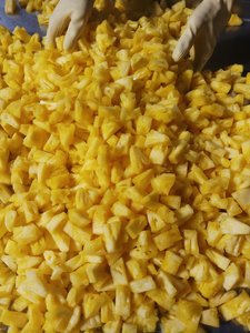 Piña enlatada, rodajas de piña de Vietnam, suministro directo de fábrica a granel, adecuado para cadenas de supermercados - Product Image 2