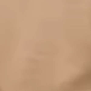 เสื้อฮู้ดดี้ทรงโอเวอร์ไซส์ ผ้าฝ้าย 100% คุณภาพสูง 450gsm สไตล์วินเทจฝรั่งเศส ระบายอากาศได้ดี สำหรับทั้งชายและหญิง  รับสกรีนโลโก้ ผ้าเทอร์รี่ - Product Image 6