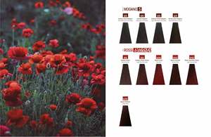 NATURALIA Coloration capillaire permanente sans ammoniaque, crème huileuse, formule italienne, qualité supérieure, formule nourrissante pour cheveux - Product Image 5