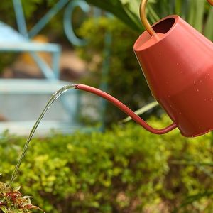 Arrosoir en métal de style ferme pour jardin, arrosoir ergonomique en métal pour une hydratation sans effort - Product Image 6