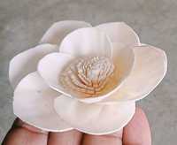 Fleurs sola naturelles, idéales pour une utilisation par les fabricants de assainisseur de pièce et pour pot pourpre, concepteur d'arrangement de fleurs séchées