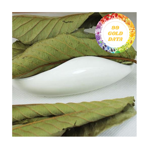 Feuilles de goyave séchées naturelles du Vietnam avec un bon prix et une haute qualité supérieure - Product Image 1