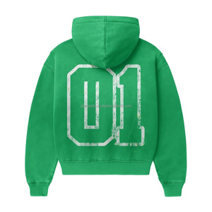 Sudadera con capucha con cremallera para mujer, informal, ligera, con cremallera frontal, bolsillos y cremallera frontal, venta al por mayor, 2025 - Product Image 2