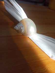 Polished Vietnam <b>napkin</b> ring <b>napkin</b> <b>holder</b> ring <b>holder</b> by snail & seashell for professional table styling and party hosting - Product Image 4