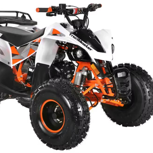 LIVRAISON RAPIDE POUR T r a i l M a s t e r s  F125 - Product Image 1