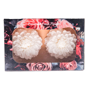 HFlora, los nuevos productos más populares, flores naturales de larga duración preservadas de <span class=keywords><strong>Dahlia</strong></span> <span class=keywords><strong>Pinnata</strong></span> para la decoración del hogar y el suelo de la pared - Product Image 5