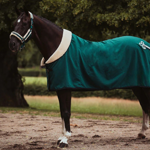 Bride de cheval en cuir de style anglais équestre professionnel avec licou fait à la main en cuir durable idéal pour la piste d'entraînement - Product Image 3