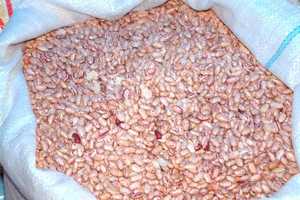 Granos de azúcar de herencia orgánica seca a la venta - Product Image 2