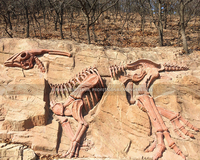 Répliques de squelettes de dinosaures Parasaurolophus en fibre de verre personnalisées pour l'affichage en musée