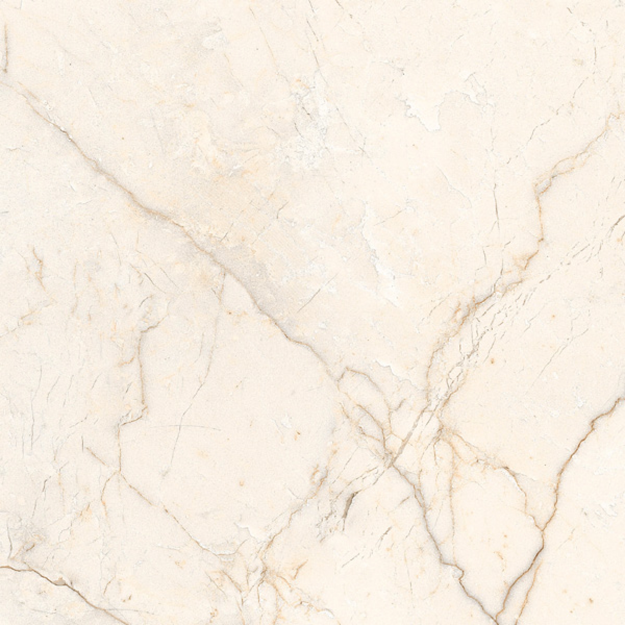 สีเทาอ่อน