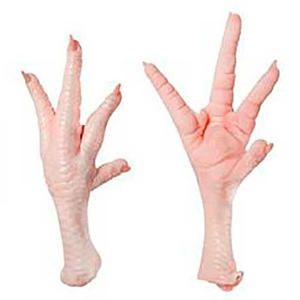 Pieds de poulet de haute qualité, produit avicole frais, idéal pour la cuisine traditionnelle, la préparation de soupes et la confection de plats. - Product Image 3