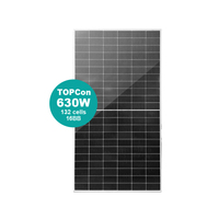 Paneles Solares Monocristalinos Bifaciales Tipo N de 610W, 620W, 630W, 182mmx105mm, 16BB, 132 Celdas, Doble Vidrio, para BIPV, con Certificación CE RoHS